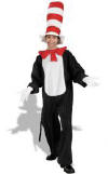Cat in the Hat Movie Adult Costume